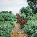 Obiect decorativ de grădină, Chicken -A 01, 64x42 cm, Multicolor