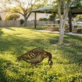Obiect decorativ de grădină, Goose -A 02, 44x50 cm, Multicolor