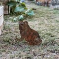 Obiect decorativ de grădină, Frog -A 01, 34x22 cm, Multicolor