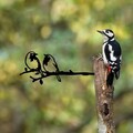 Obiect decorativ de grădină, Bird On The Branch 06, 50x20 cm, Negru