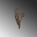 Obiect decorativ de grădină, Bird On The Branch 01, 18x30 cm, Maro