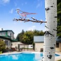 Obiect decorativ de grădină, Bird on the branch 25, 20x50 cm, Multicolor