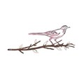 Obiect decorativ de grădină, Bird on the branch 25, 20x50 cm, Multicolor