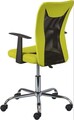 Scaun de birou pentru copii Donny, Inter Link, 55x54.5x85-95 cm, rotativ, metal/poliuretan, verde/negru