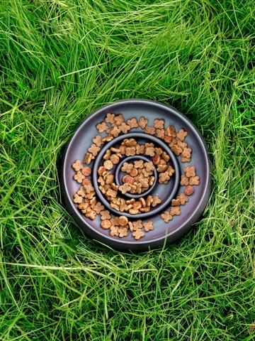 Bol pentru hrana animale de companie, BSPT031, Negru