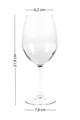Set de pahare de vin, Hermia, 127RKL1106, Transparent