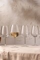 Set de pahare de vin, Hermia, 127RKL1109, Transparent