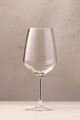 Set de pahare de vin, Hermia, 127RKL1109, Transparent