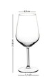 Set de pahare de vin, Hermia, 127RKL1109, Transparent