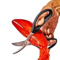 Foarfeca fructe de mare, inox, 19cm, 