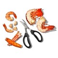 Foarfeca fructe de mare, inox, 19cm, 