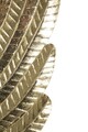 Set 2 decoratiuni de perete, Mauro Ferretti, Wings, 60x130 cm, fier, auriu
