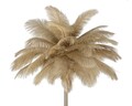 Lampadar, Mauro Ferretti, Palm Cammello, 3 x E14, 40W, 55x160 cm, fier/plastic, auriu/camel