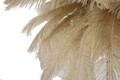 Lampa de masa, Mauro Ferretti, Palm Cammello, 2 x E14, 40W, 40x55 cm, fier/plastic, auriu/camel