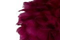Lampa de masa, Mauro Ferretti, Feather, 1 x E27, 40W, 30x50 cm, fier/plastic, auriu/bordo