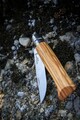 Cutit de buzunar N°08, inox, 8,5cm, 