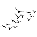 Decoratiune de perete, Migration, Pasărea nr. 1: 29 x 18 cm (1 bucată) , Negru