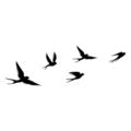 Decoratiune de perete, Crow, Pasărea nr. 1: 33 x 22,5 cm (1 bucată), Negru
