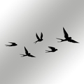 Decoratiune de perete, Crow, Pasărea nr. 1: 33 x 22,5 cm (1 bucată), Negru