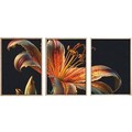 Set 3 tablouri decorative, Huhu221, Lemn masiv, Multicolor