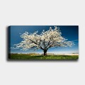 Tablou decorativ, YTY1233464_50120, Rama din lemn (grosime 3 cm), Multicolor