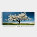 Tablou decorativ, YTY1233464_50120, Rama din lemn (grosime 3 cm), Multicolor