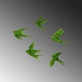 Decoratiune de perete, Swallows, 19 x 18 cm, Verde