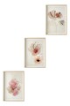 Set 3 tablouri decorative, Huhu205, Lemn masiv, Multicolor