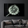 Tablou decorativ, CAM-3036, Dimensiuni: 46 x 72 cm, Multicolor
