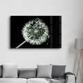 Tablou decorativ, CAM-3036, Dimensiuni: 46 x 72 cm, Multicolor