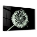 Tablou decorativ, CAM-3036, Dimensiuni: 46 x 72 cm, Multicolor