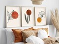 Tablou decorativ (3 Pieces), Huhu215, Lemn masiv (Grosime: 2,5 cm, Multicolor