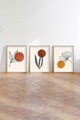 Tablou decorativ (3 Pieces), Huhu215, Lemn masiv (Grosime: 2,5 cm, Multicolor