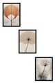 Tablou decorativ (3 Pieces), Huhu481S, Lemn masiv (Grosime: 2,5 cm, Multicolor