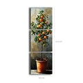 Tablou decorativ (3 Pieces), 3P4545BSRC-007, Cadru: 100% PIN (Grosime: 2,8 mm, Multicolor
