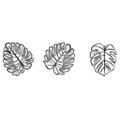 Decoratiune de perete, Tropical, Leef Nr. 1: 36,5 x 33,5 cm (1 bucată) , Negru