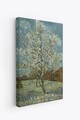 Tablou decorativ (3 Pieces), Ersycnvs14, Dimensiune: 40 x 60 cm (3 bucăți), Multicolor