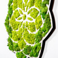 Decoratiune de perete, Daisy, Dimensiuni: 44 x 1,6 x 44 cm, Verde/Alb