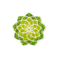 Decoratiune de perete, Daisy, Dimensiuni: 44 x 1,6 x 44 cm, Verde/Alb