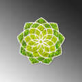 Decoratiune de perete, Daisy, Dimensiuni: 44 x 1,6 x 44 cm, Verde/Alb