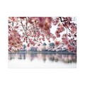 Tablou decorativ, 102307675_70100, Lemn (Grosime: 3 cm, Multicolor