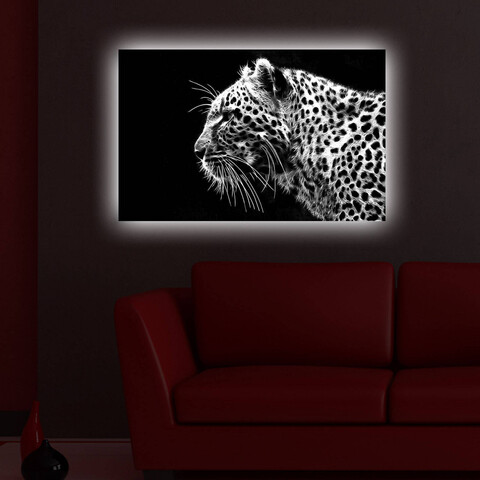 Tablou decorativ cu lumina LED, 4570DACT-44, Dimensiune: 45 x 70 cm, Multicolor
