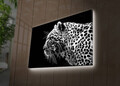 Tablou decorativ cu lumina LED, 4570DACT-44, Dimensiune: 45 x 70 cm, Multicolor