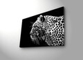 Tablou decorativ cu lumina LED, 4570DACT-44, Dimensiune: 45 x 70 cm, Multicolor