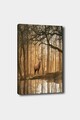 Tablou decorativ, 1276742665-5070, Cadru: 100% LEMN (grosime: 3 cm), Multicolor