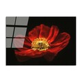 Tablou decorativ, UV-204 70 x 100, 70 x 100 cm, Multicolor