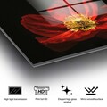 Tablou decorativ, UV-204 70 x 100, 70 x 100 cm, Multicolor