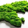 Decoratiune de perete, World Map, Dimensiuni: 70 x 32 cm, Verde