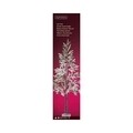 Decoratiune luminoasa pentru exterior Pine w snow tree, Lumineo, 312 micro LED-uri, H180 cm, multicolor
