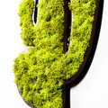 Decoratiune de perete, Cactus, Dimensiuni: 34 x 1,6 x 45 cm, Verde/Alb